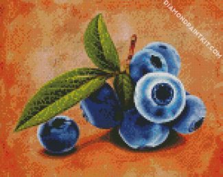 blueberry Fruits diamond painting