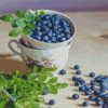 Blueberry Cup diamond painting