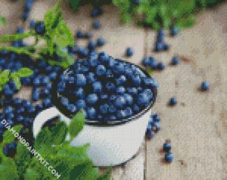 Blueberry Fruit Cup diamond painting