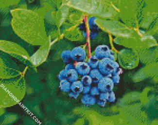 Blueberry Fruit Tree diamond painting