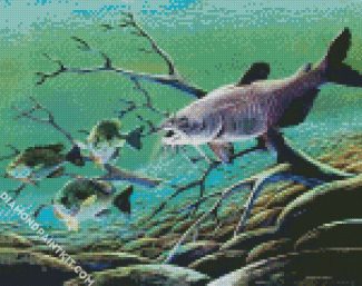 Carp Catfishes Underwater diamond painting