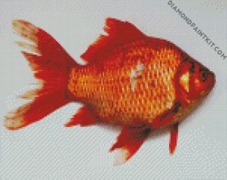 Carp Goldfish diamond painting