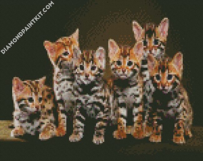 Cute Bengal Kitties diamond painting