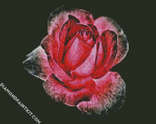 Dark Velvet Rose diamond painting