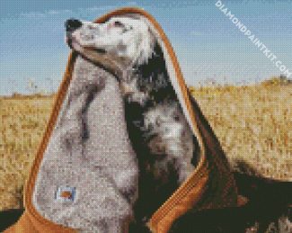 Dog In Blanket diamond painting