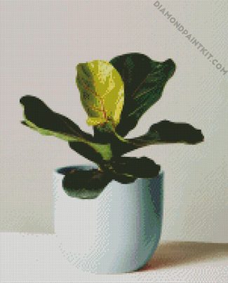 Fiddle Leaf Fig Plant Pot diamond painting