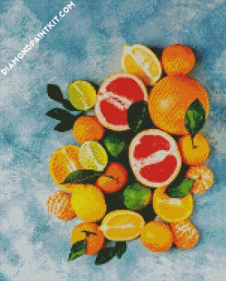 Fresh Citrus Fruit diamond painting