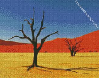 Kalahari Desert diamond painting