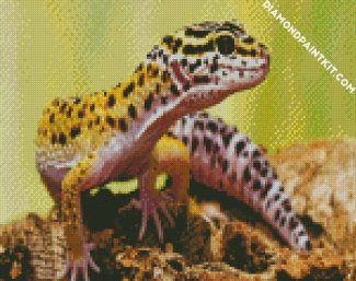 Leopard Gecko Lizard diamond painting