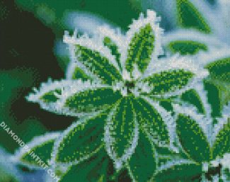 Plant Leaves Frost diamond painting