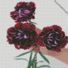 Purple Carnation Flowers diamond painting