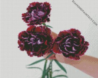 Purple Carnation Flowers diamond painting