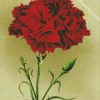 Red Carnation Flower diamond painting