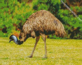 The Emu Bird diamond painting