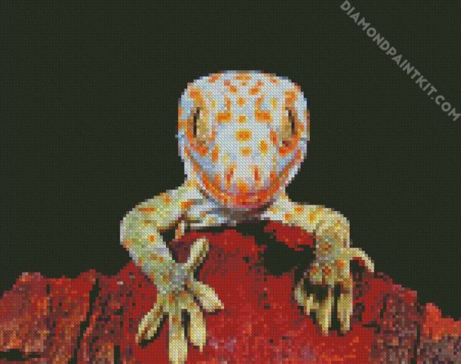 Tokay Gecko Lizard diamond painting