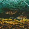 Walleye Fish Underwater diamond painting