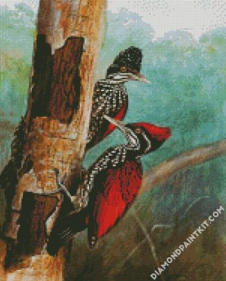 Woodpeckers Birds diamond painting