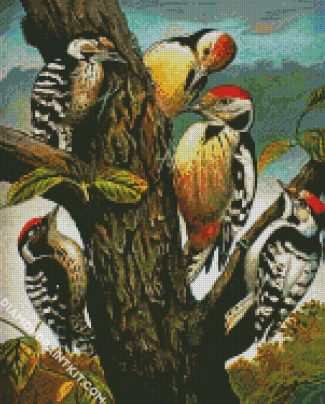 Woodpeckers Family Picoides diamond painting