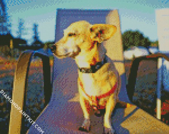 Chiweenie Puppy Dog diamond painting