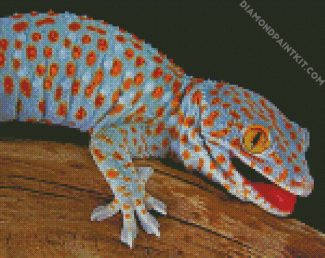 Tokay Gecko diamond painting