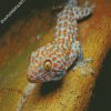 Tokay Gecko Lizard Reptile diamond painting
