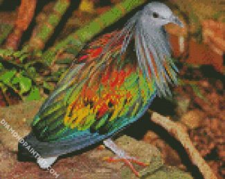 Tropical Pigeon Dove diamond painting