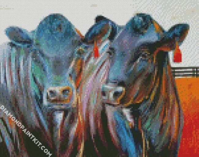 Aberdeen Angus Cows diamond painting