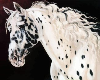 Appaloosa Horse Head diamond painting