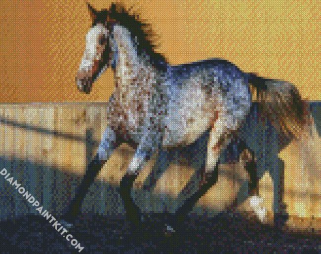 Appaloosa Horse diamond painting