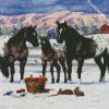 Appaloosa Horses in snow diamond painting