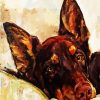 Australian Kelpie Dog Art diamond painting