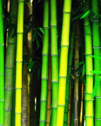 Bamboo Plant diamond painting