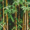 Bamboo Trees Plants diamond painting