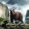 Bear Animal diamond painting