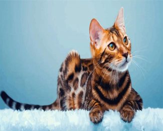Bengal Cat Animal diamond painting