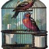 Birds In Cage diamond painting
