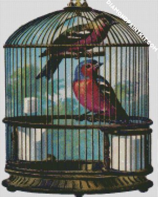 Birds In Cage diamond painting