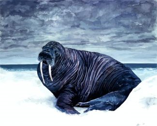 Black Walrus diamond painting