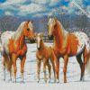 Blonde Appaloosa Horses diamond painting