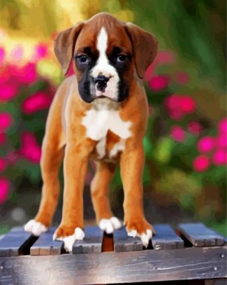 Boxer Puppy diamond painting