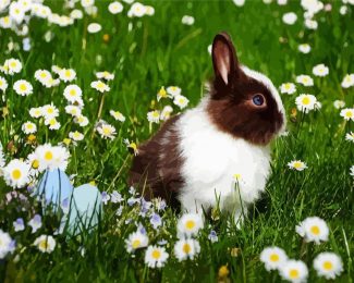 Bunny In Chamomile Field diamond painting
