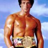 Champion Rocky Balboa diamond painting