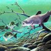 Carp Catfishes Underwater diamond painting