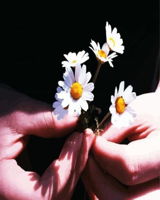 Chamomile Flowers In Hand diamond painting