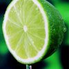 Citrus Lime diamond painting