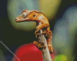 Crested Gecko diamond painting