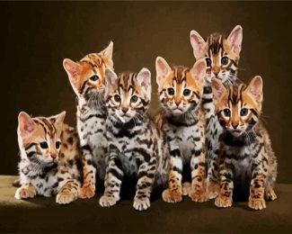 Cute Bengal Kitties diamond painting