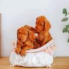 Cute Vizsla Puppies In a Woven Bin diamond painting