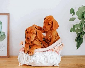 Cute Vizsla Puppies In a Woven Bin diamond painting