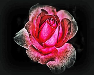 Dark Velvet Rose diamond painting